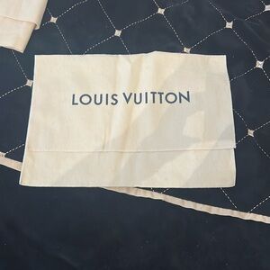 Louis Vuitton duster for a small handbag